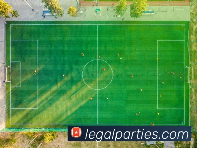 奇异果网页版平台生态图